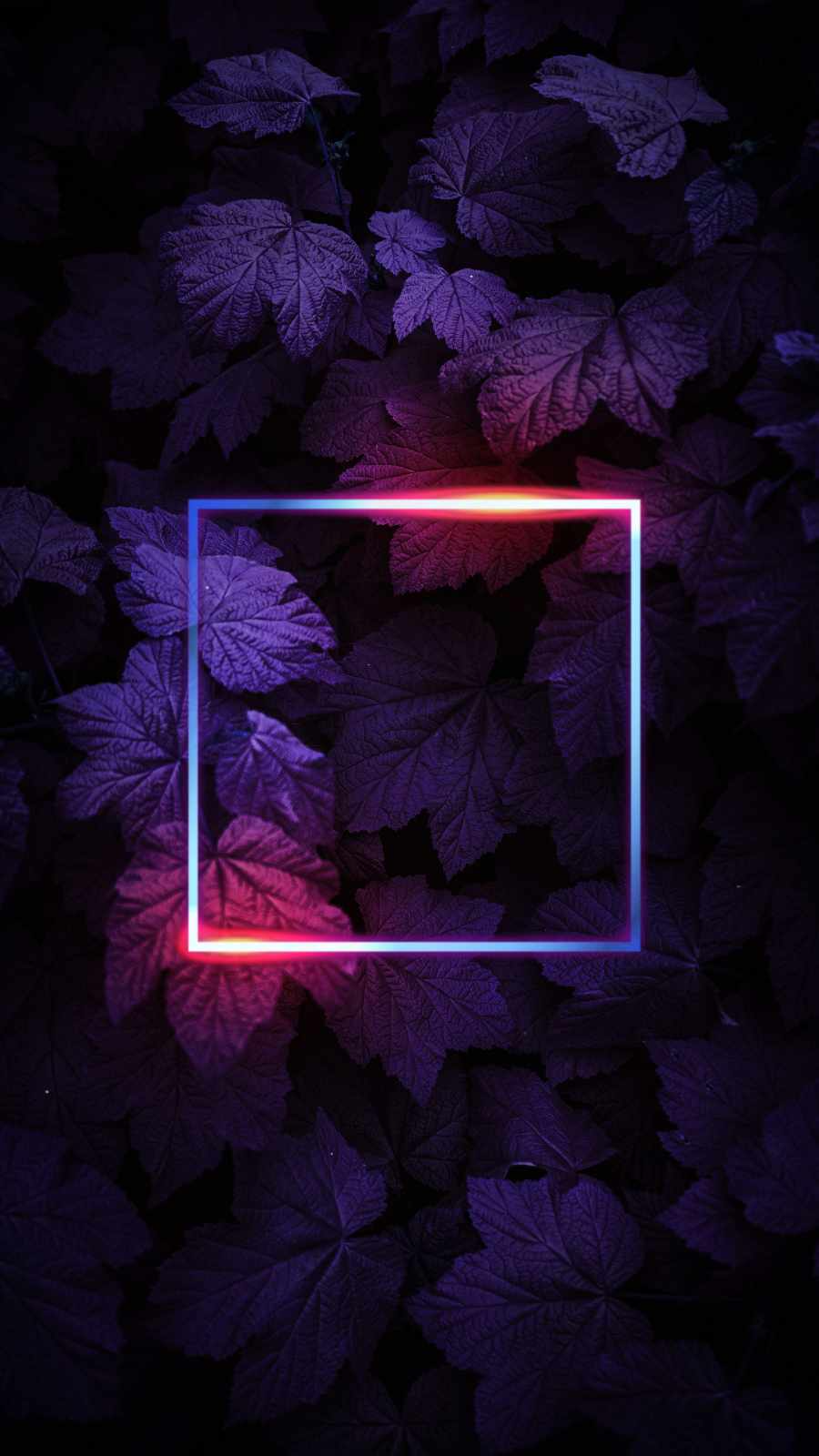 20 Cool Neon iPhone wallpapers Free HD download in 2023  iGeeksBlog