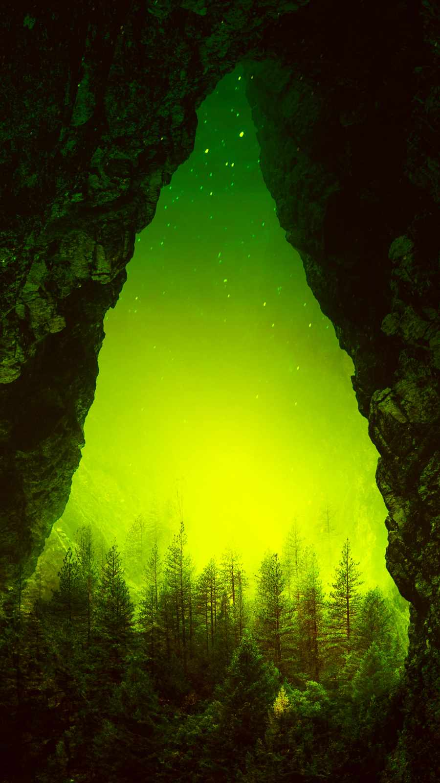 Toxic Forest IPhone Wallpaper  IPhone Wallpapers