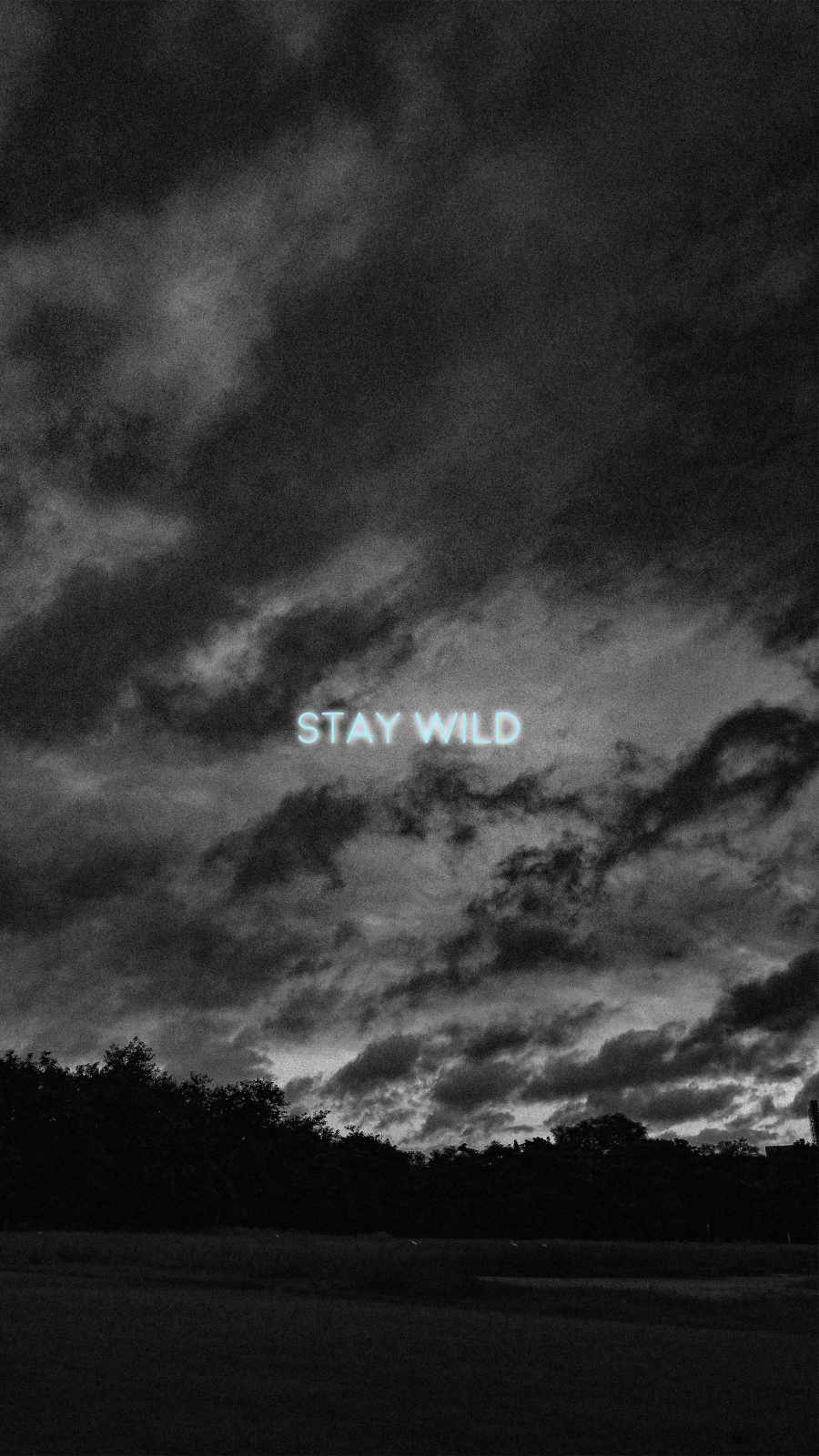Stay Wild IPhone Wallpaper  IPhone Wallpapers