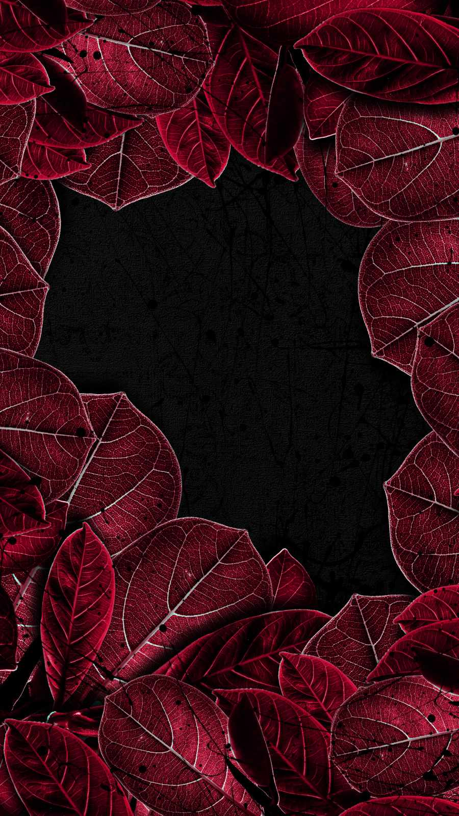 Red Leaves IPhone Wallpaper  IPhone Wallpapers