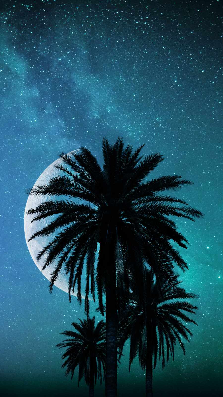 Palm Trees And Moon IPhone Wallpaper  IPhone Wallpapers
