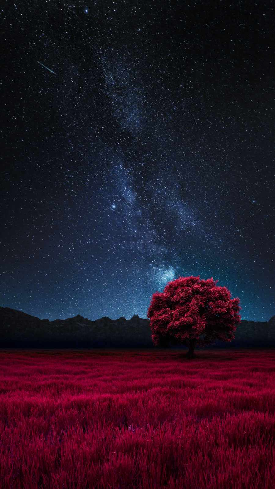 The Red Tree IPhone Wallpaper  IPhone Wallpapers