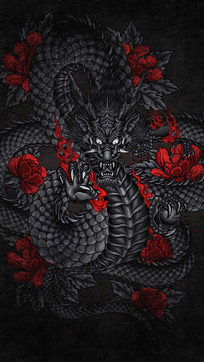 Red and Black Dragon Wallpapers on WallpaperDog