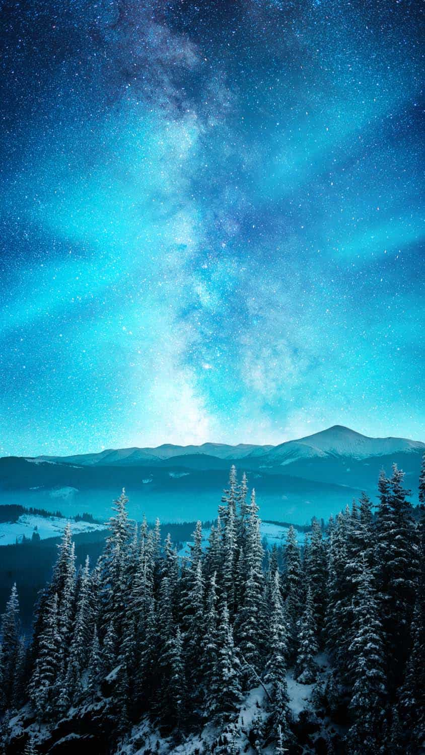 Starry Night Sky Snow Forest IPhone Wallpaper HD  IPhone Wallpapers