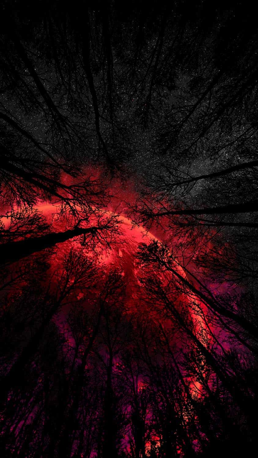 Red Wallpapers  HD Backgrounds  WallpaperChillcom