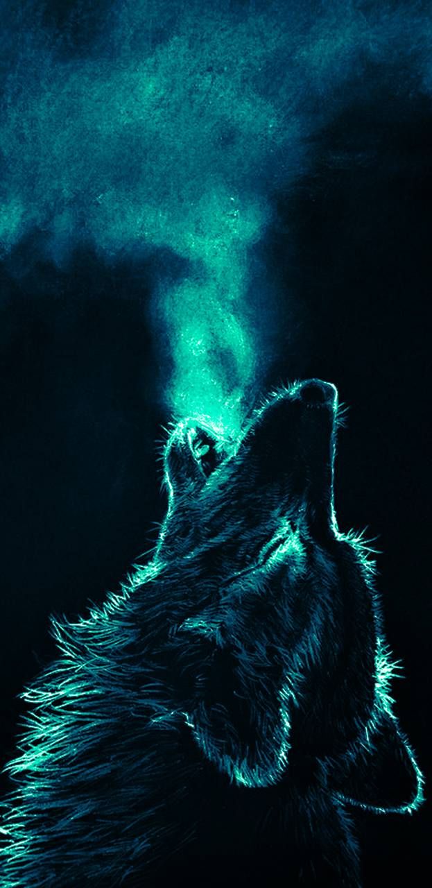 Cool wolf