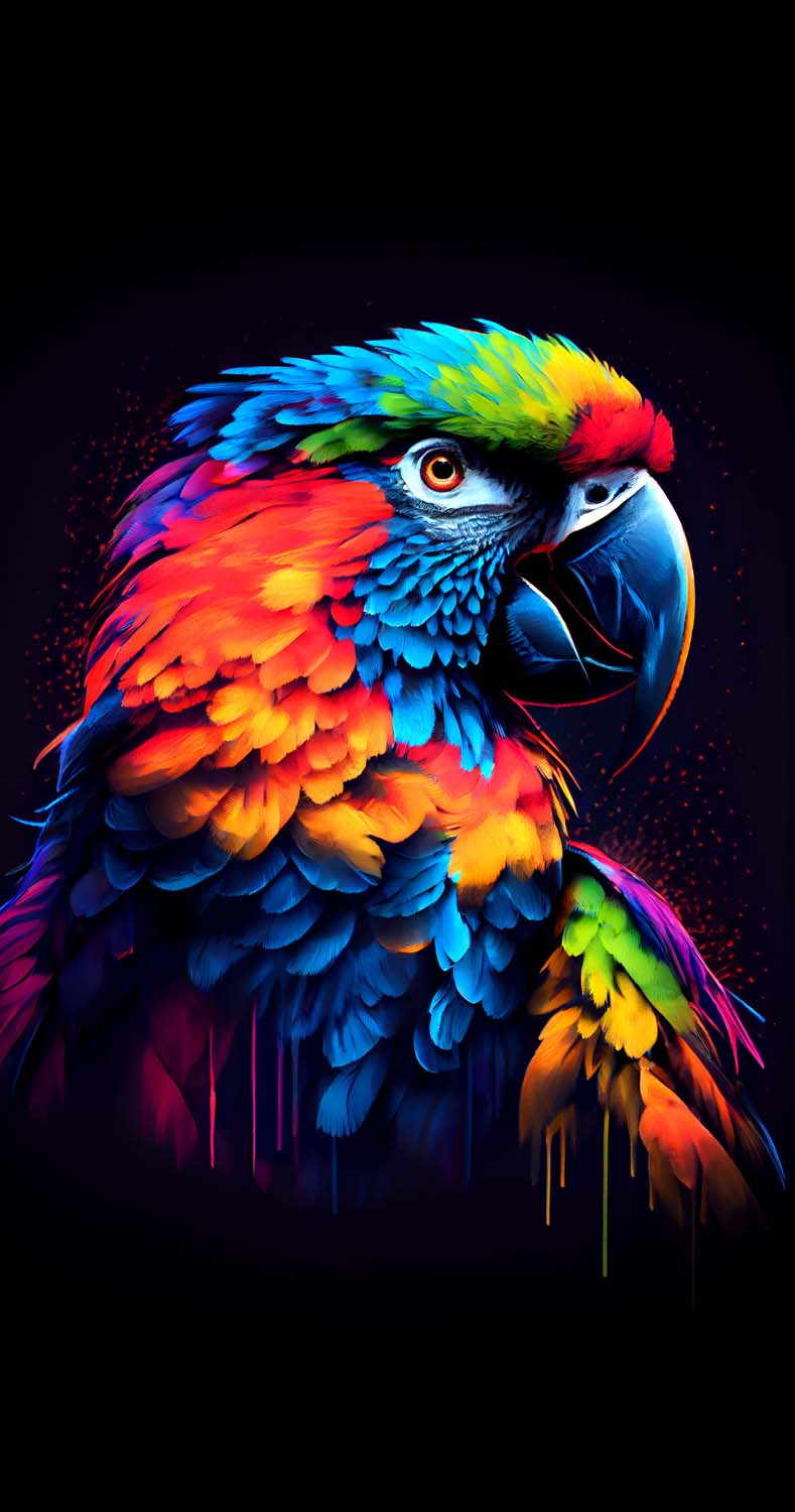 Ruffled Feathers IPhone Wallpaper HD  IPhone Wallpapers