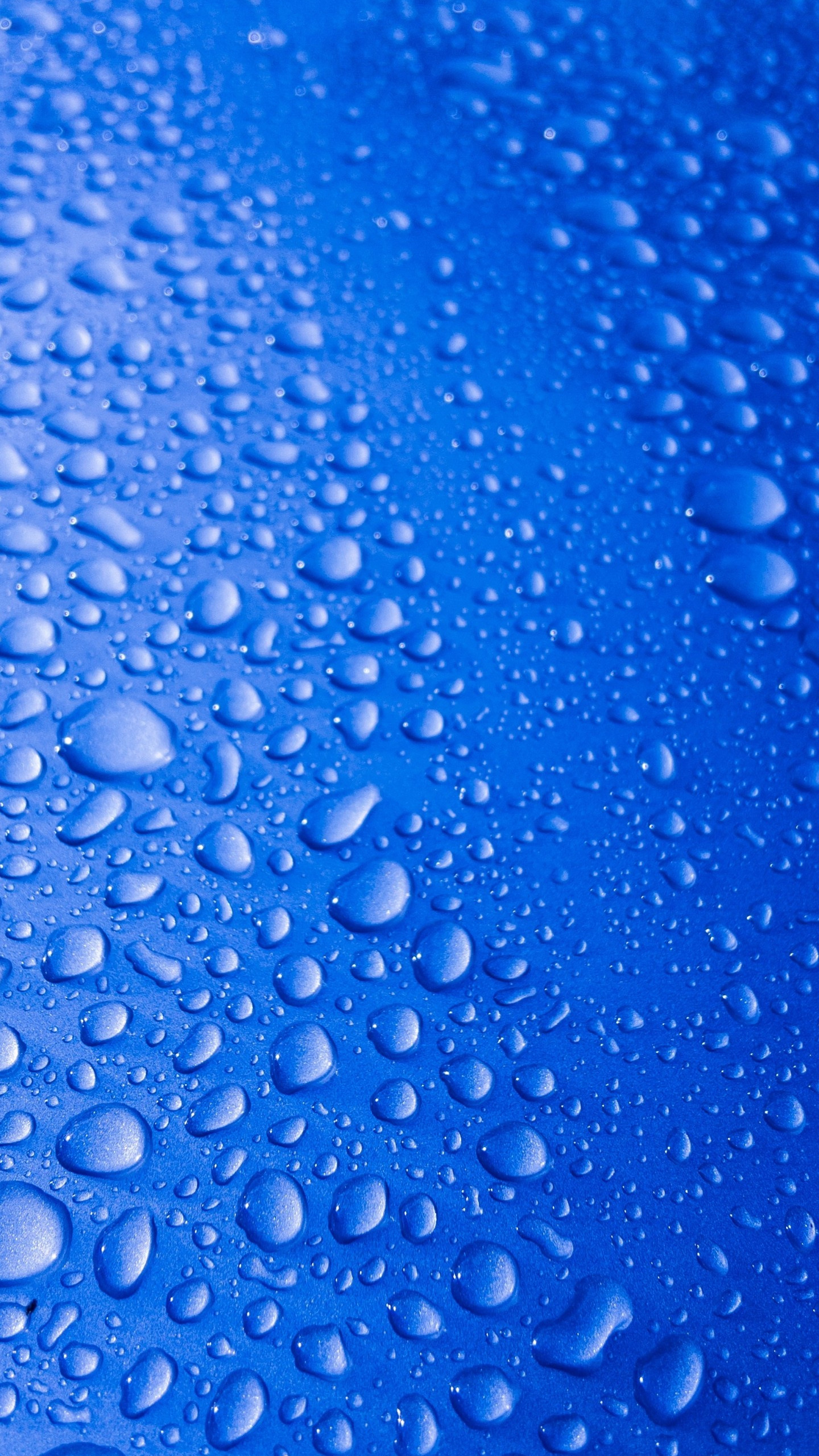 Rain - Water - Blue