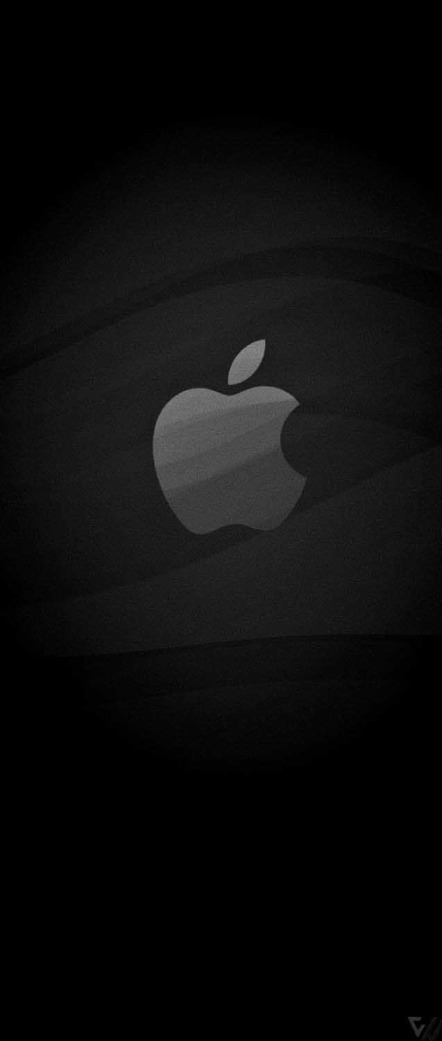 Apple logo black HD wallpapers  Pxfuel