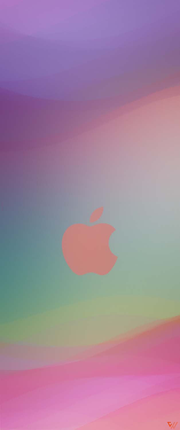 Apple Pink Gradient iPhone Wallpaper 4K  iPhone Wallpapers