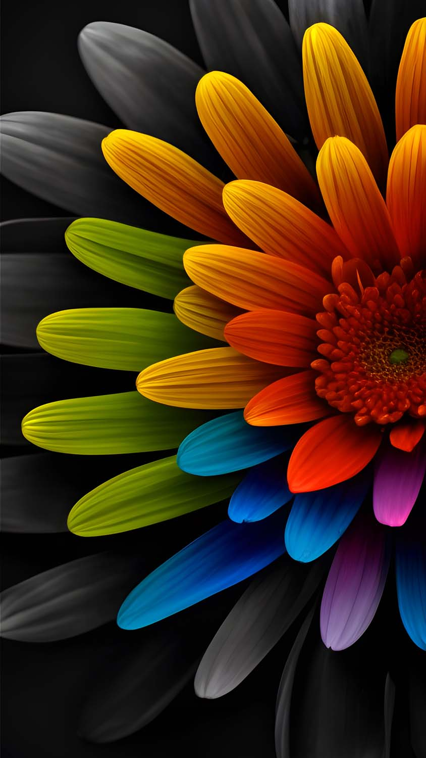 Best flower iPhone 11, aesthetic sky flowers HD phone wallpaper | Pxfuel