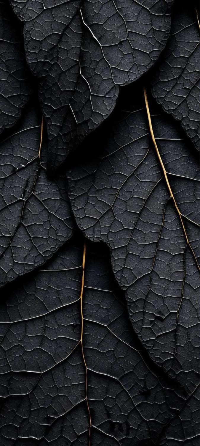 Black Leaves iPhone Wallpaper