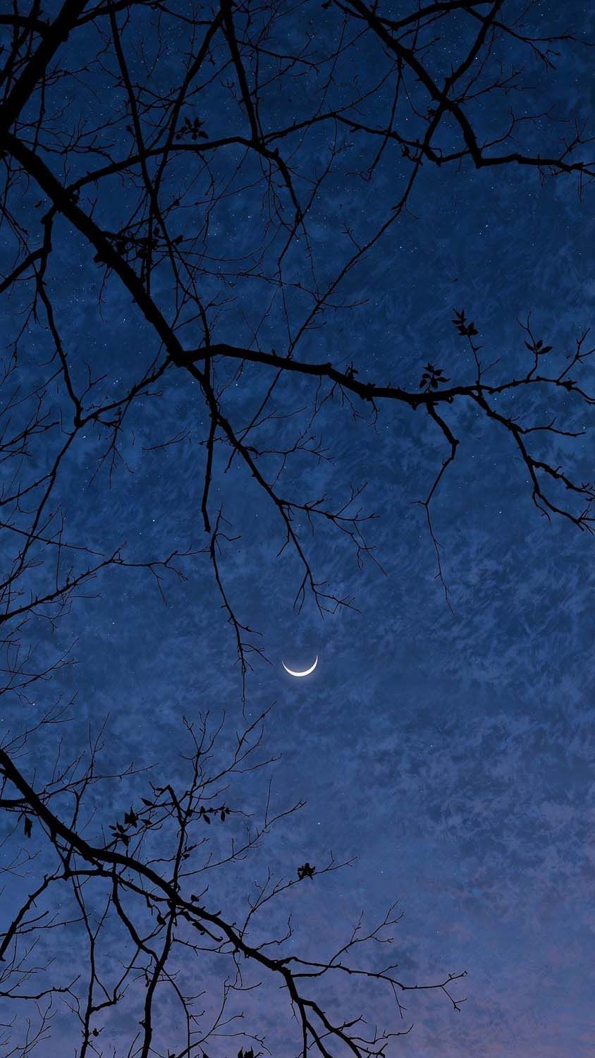 Night Moon Sky iPhone Wallpaper