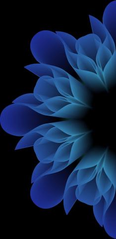 720x1600px, 720P free download Flower, amoled, android, apple, black, dark, galaxy, ios, iphone, note, samsung, HD phone image wallpaper