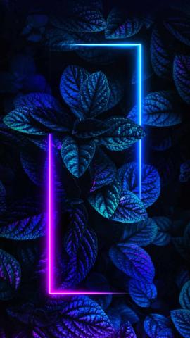 Foliage Neon Nature Iphone Wallpaper - Iphone Wallpapers Iphone  9E3