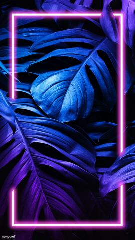 Download premium psd / image of Monstera leaf mobile screen wallpaper by Jubjang about neon iphone wallpaper, neon tropical, purple wallpaper iphone wallpaper, neon jungle, and iphone wallpaper dark 1219981