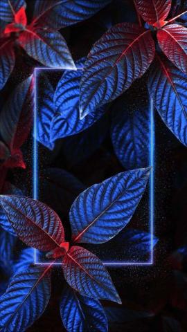 Foliage Neon Nature Iphone Wallpaper - Iphone Wallpapers Iphone 9E3