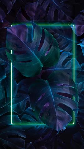 Plants, vepoware, art, 2160x3840 wallpaper