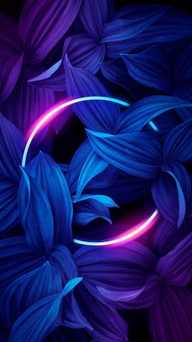 Neon Circle Nature Iphone Wallpaper - Iphone Wallpapers Iphone Wallpapers 64A