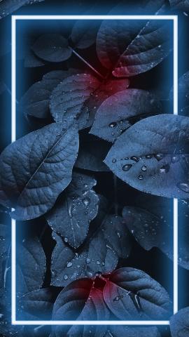 Neon leaves