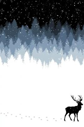 Winter Night Canvas Art Print by Tobias Fonseca iCanvas