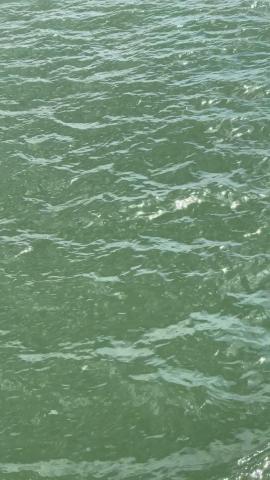 Ocean 🌊 #ocean #sea #aesthetic #summer21 Green pictures, Mint aesthetic, Green wallpaper
