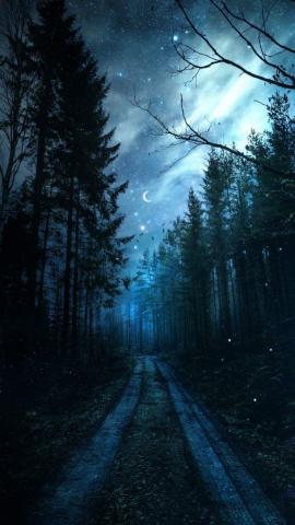 Magical Forest Night Starry Sky - IPhone Wallpapers