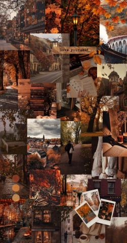 Fall vibes Collage Wallpaper  Cute laptop wallpaper Desktop wallpaper fall  Halloween desktop wallpaper