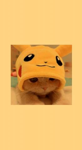 Fondo aesthetic gatito Pikachu