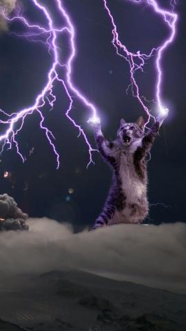 Lightning god cat wallpaper (requested higher resolution) - Animals