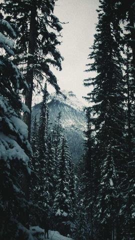 13 x Winter Landscapes iPhone Wallpaper Collection Preppy Wallpapers