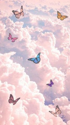 Cloudie Butterflies