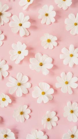 100 Pretty Pink Wallpapers For Phone - The XO Factor