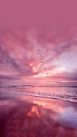 Wallpaper sea beach the sky sunset pink beach sky sea sunset pink  images for desktop section пейзажи  download