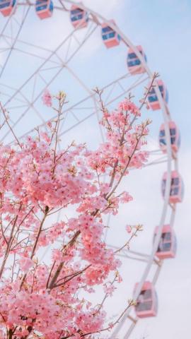 36 Aesthetic Spring Wallpaper for iPhone Free Download  May the Ray