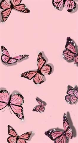 Pink Butterfly Wallpapers Aesthetic Find Images Of Pink Butterfly