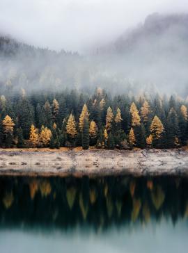 Autumn woods across the lake