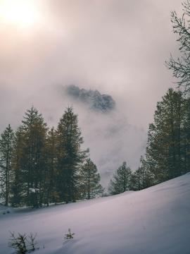 Another shot from our hike in the Alps. I loved how peaceful and relaxing was this place.