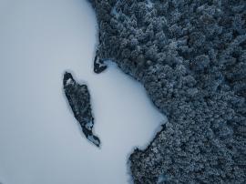 The quiet and peace you feel when you walk through the woods when it snows.