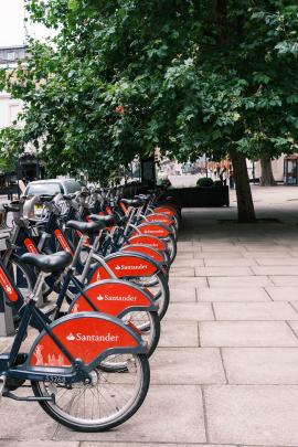 Santander Cycles on a rack under a tree in London