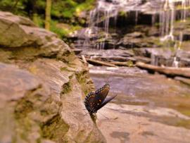 Rainbow Falls South Carolina Karolina Bobek