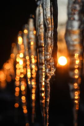 Icicles at the sunset