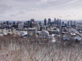View of Montreal,Canada from the mountain