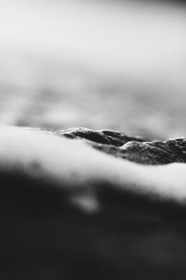 Black Waters of Piha 2