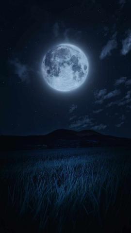Moonlight In Nature - IPhone Wallpapers