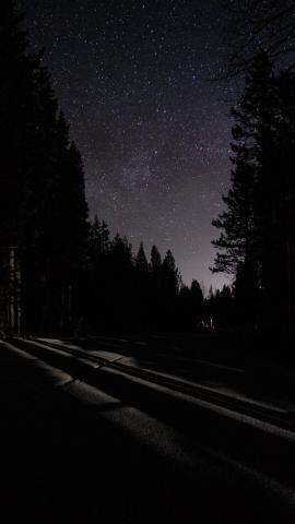 Night, dark, road, starry sky, trees, 750x1334 wallpaper