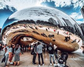 The bean!