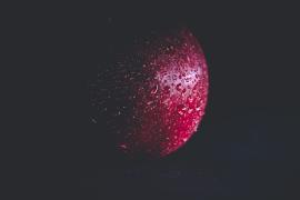 A red colour apple on a black background. Wallpaper material. Mobile wallpaper. Desktop wallpaper.