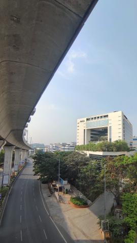 Concrete with a mix of nature.