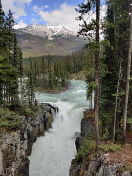 Sunwapta falls, Jasper National park, Canada